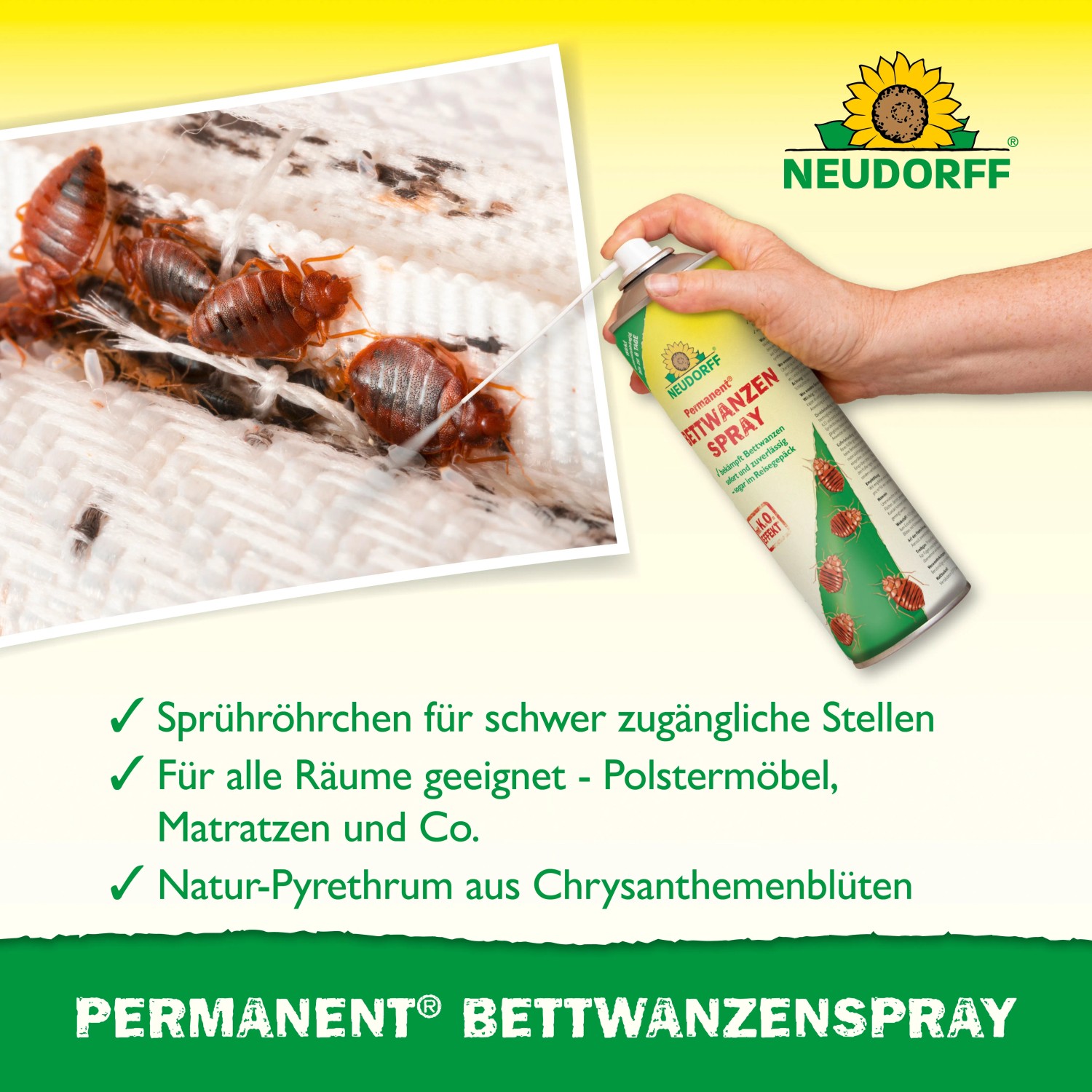 Neudorff Permanent Bettwanzenspray 500ml in Anwendung gegen Bettwanzen.