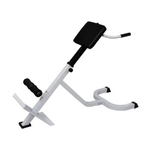 vidaXL Rücken- und Bauchtrainer 90361