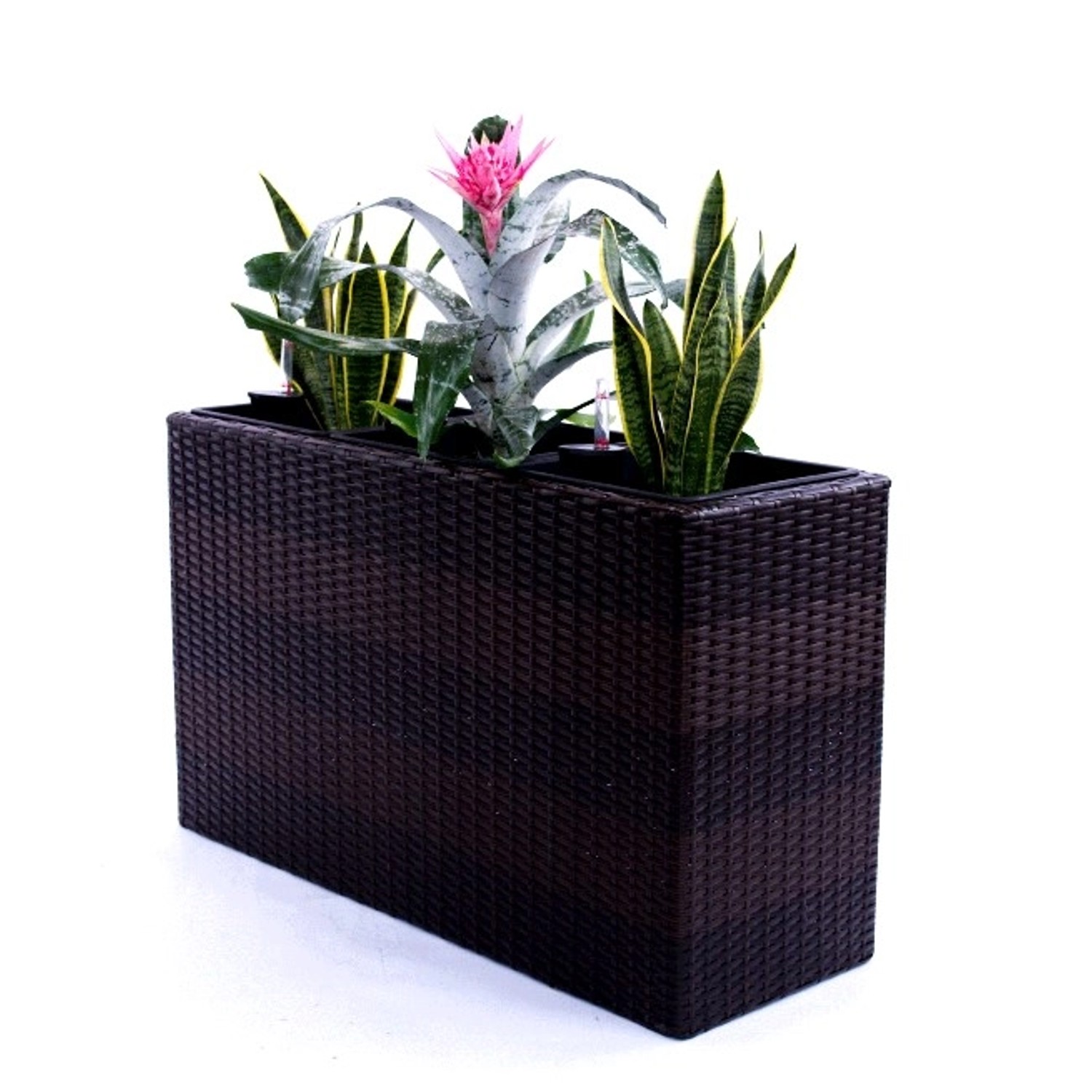 Elegant Einrichten Pflanzkübel Polyrattan Rechteckig 82x30x50cm Coffee-Brau günstig online kaufen