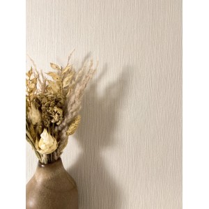 Newroom Vliestapete Raina Uni Beige Uni Modern FSC®