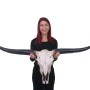 MCW Deko Schädel 132cm A14 Stier Naturfarben_2