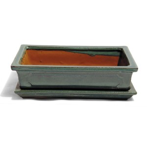 Rechteckige, grüne Bonsai Schale mit Unterteller, Ø 30 cm, für Bonsai Bäume.