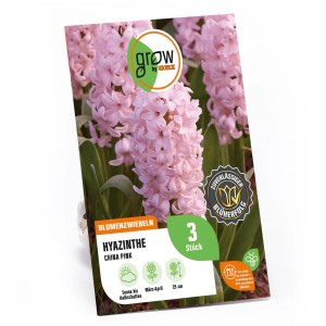 GROW by OBI Hyazinthe China Pink, rosa Blüten, 3 Stück. Blumenzwiebel für Beet und Rabatte.