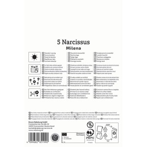Weiße Verpackung für Kiepenkerl Narzisse Milena Blumenzwiebeln (5 Stück) mit Produktinfos und Symbolen.