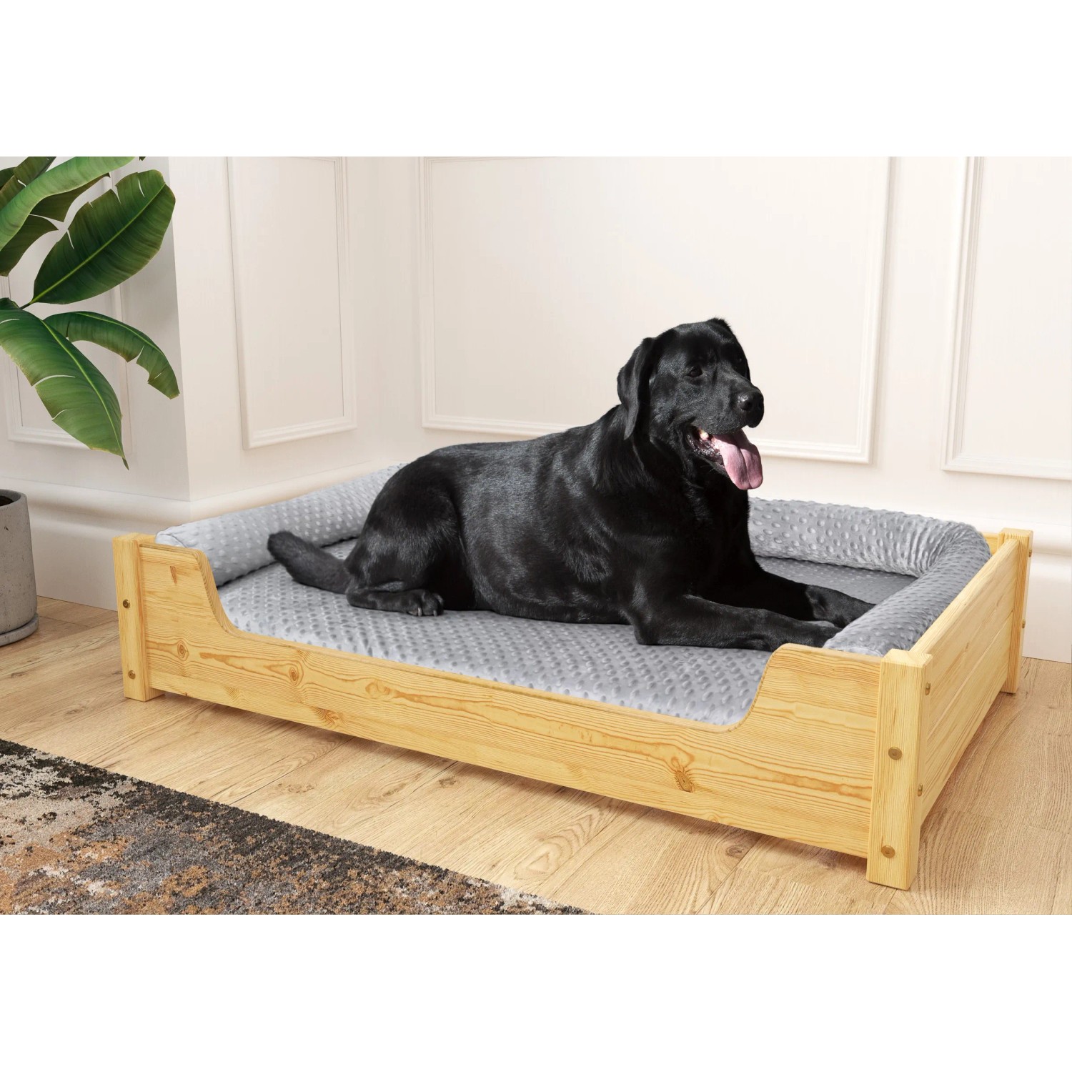 Hund im Kiefernholz Hundebett 100x60 mit Rollrost, Matratze und Polster. Tierbett für große Hunde.