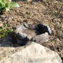 Kleine Intergarden Vogeltränke in Steinoptik mit Wasser für Vögel und Insekten.