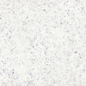 Terralith Buntsteinputz Mosaikputz 2mm 14 kg BSP127 Weiss Violett