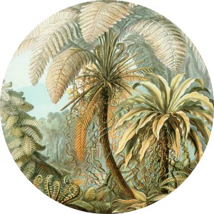 Komar Dot Vliesfototapete Feierabend mit detailreicher Darstellung von Farnen und tropischer Vegetation.