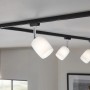 URail Schienensystem: Schwarzer Spot Blossom mit satiniertem Glas für flexible Beleuchtung.