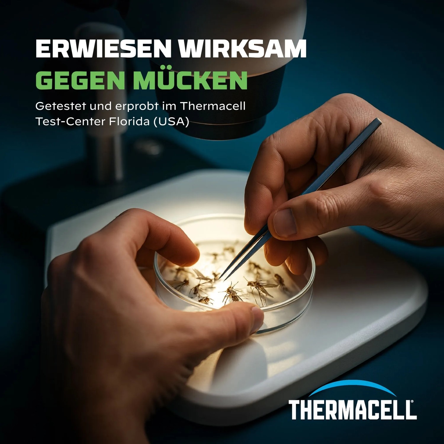 Thermacell Mückenabwehr: Mücken werden im Labor mit Pinzette untersucht.