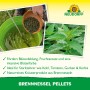 Neudorff Brennnessel Pellets: Pellets in Schale, Brennnessel-Brühe im Eimer und Brennnessel-Pflanze.