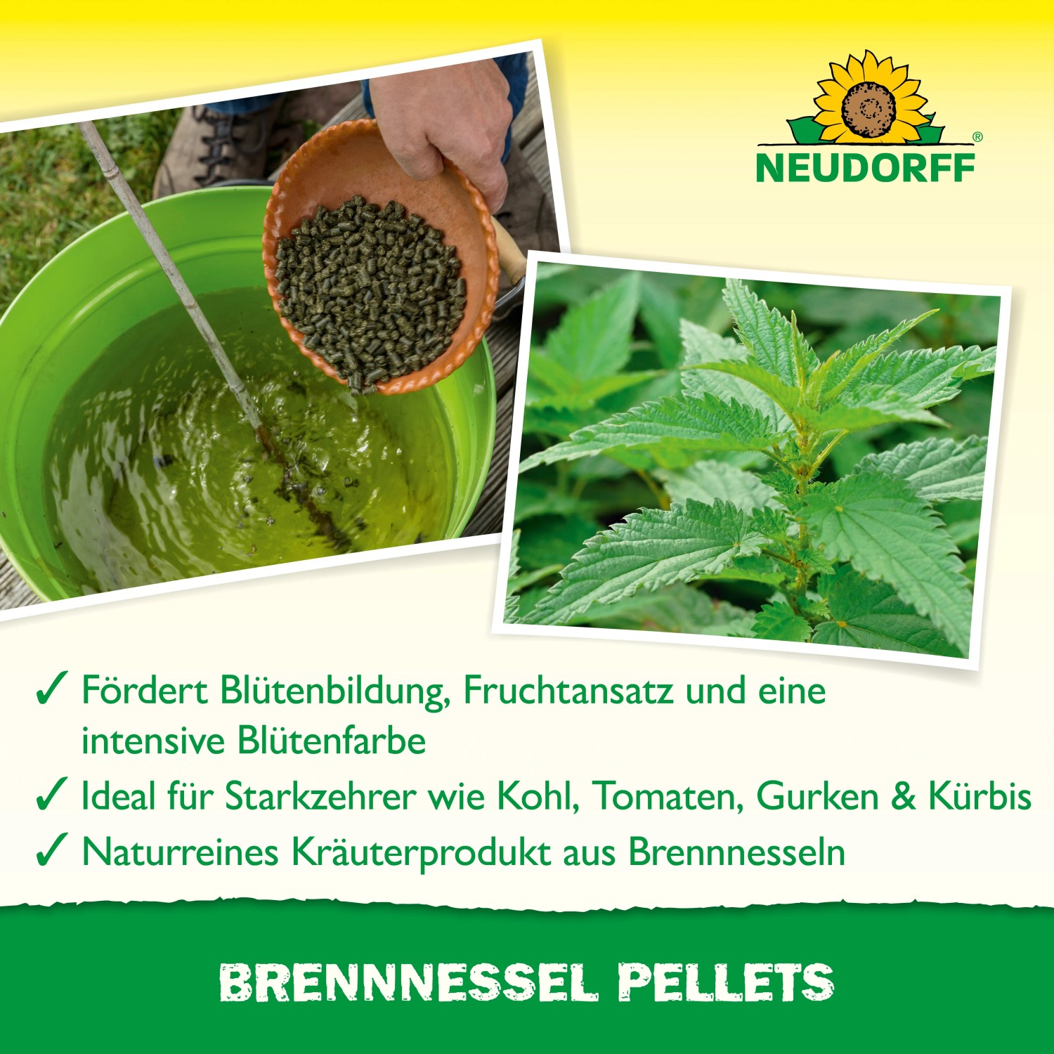 Neudorff Brennnessel Pellets: Pellets in Schale, Brennnessel-Brühe im Eimer und Brennnessel-Pflanze.