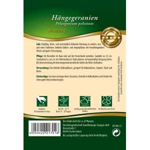 Quedlinburger Hängegeranien Mischung, loses Saatgut für farbenfrohe Balkonblumen.