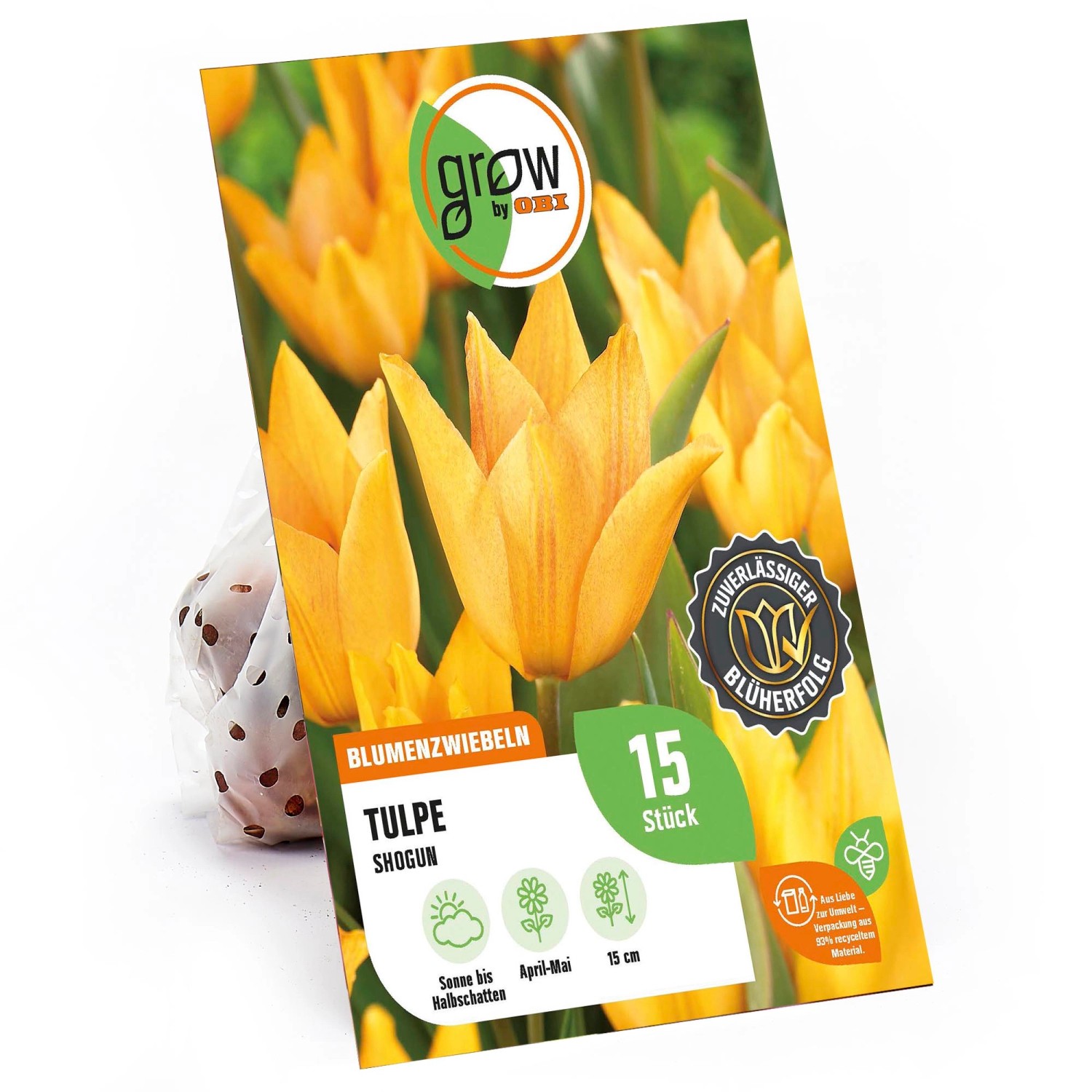 GROW by OBI Tulpe Shogun Orange 15 Stück Tulipa praestans Shogun günstig online kaufen