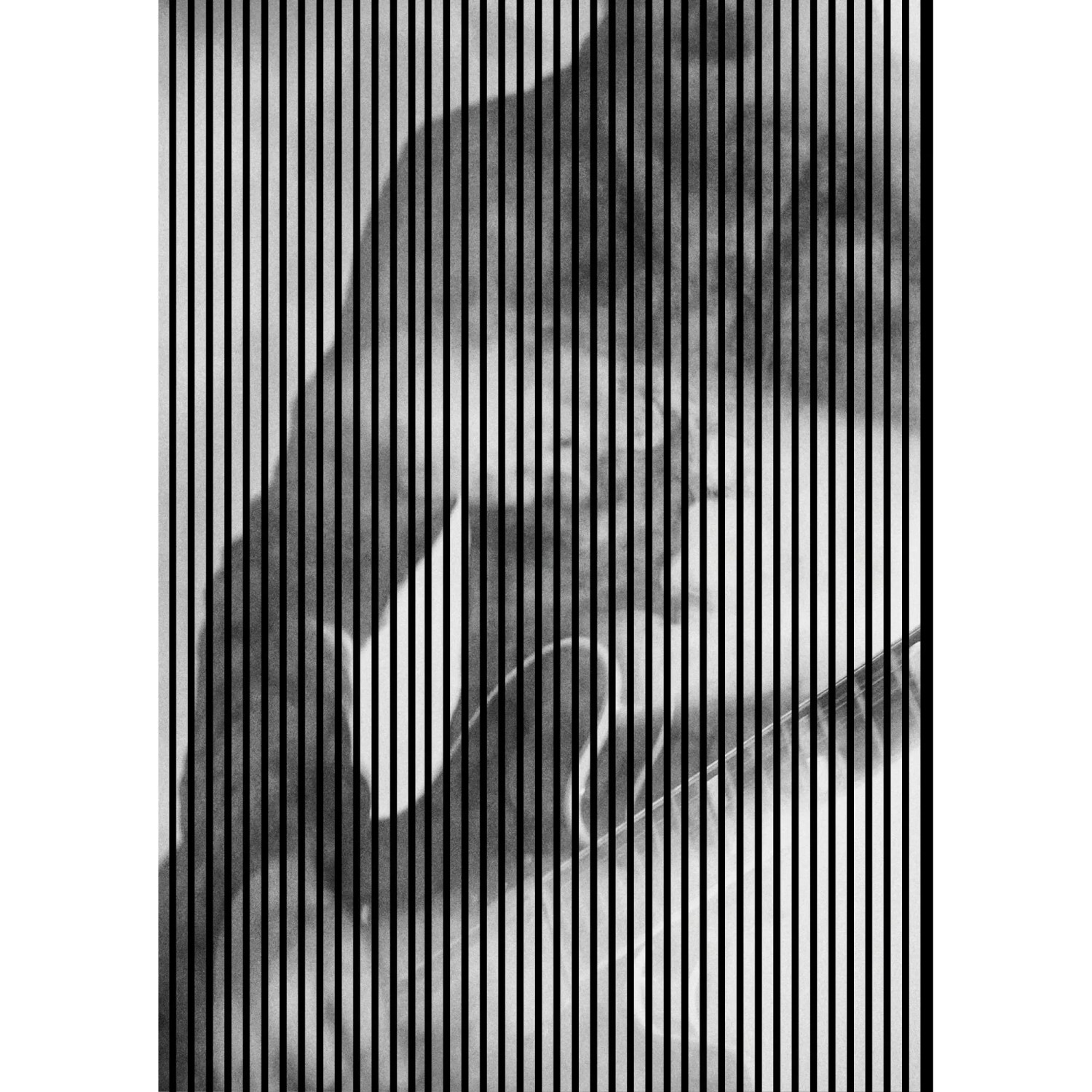 FN Acustico Akustikplatte Riff 2 PET u. MDF Foliert 1.693 x 19 x 2.400 mm