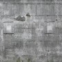 Rasch Digitaltapete Factory IV, graue Beton-Optik, 3x5,58m, für Industrie-Look an der Wand.