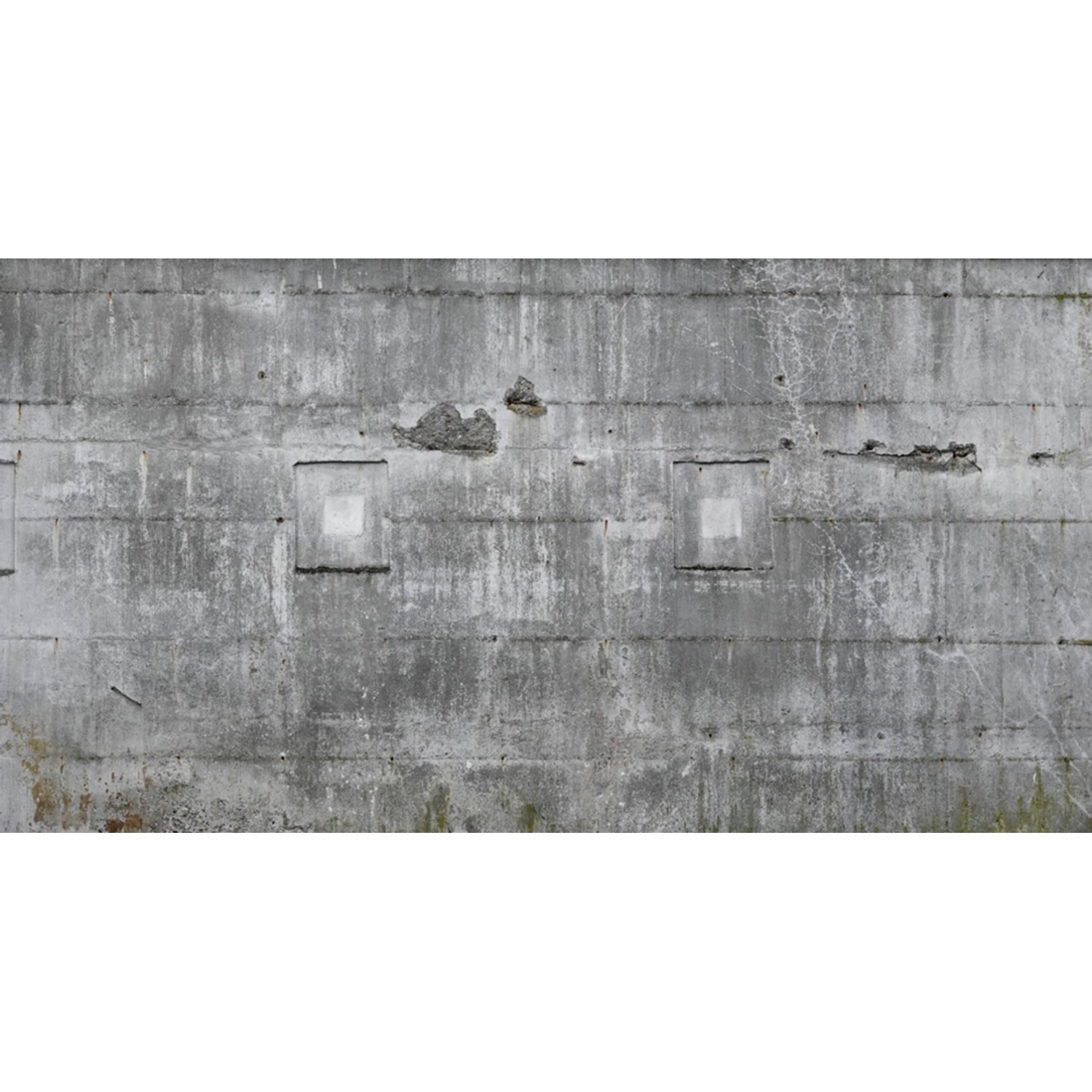 Rasch Digitaltapete Factory IV 445503 Beton Grau 3 m x 5,58 m