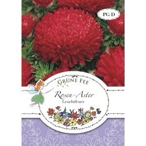 Grüne Fee Rosen-Aster Leuchtfeuer Saatgut mit leuchtend roten Blüten auf der Verpackung.