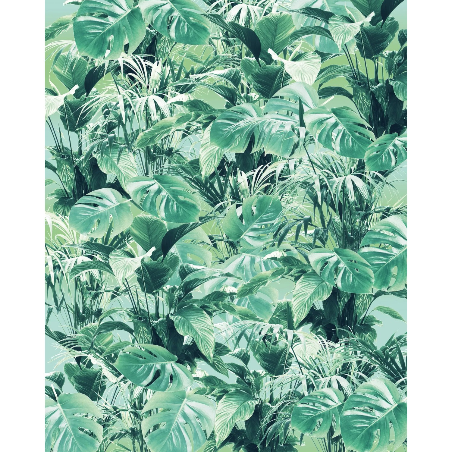 Komar Vliestapete Pure Evergreen, glatt, naturalistisch