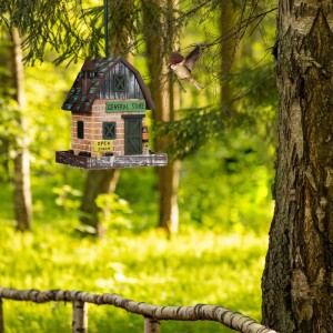 Relaxdays Vogelhaus Holz Bunt Aufhängbar 23 cm x 18 cm x 18 cm 0,6 kg