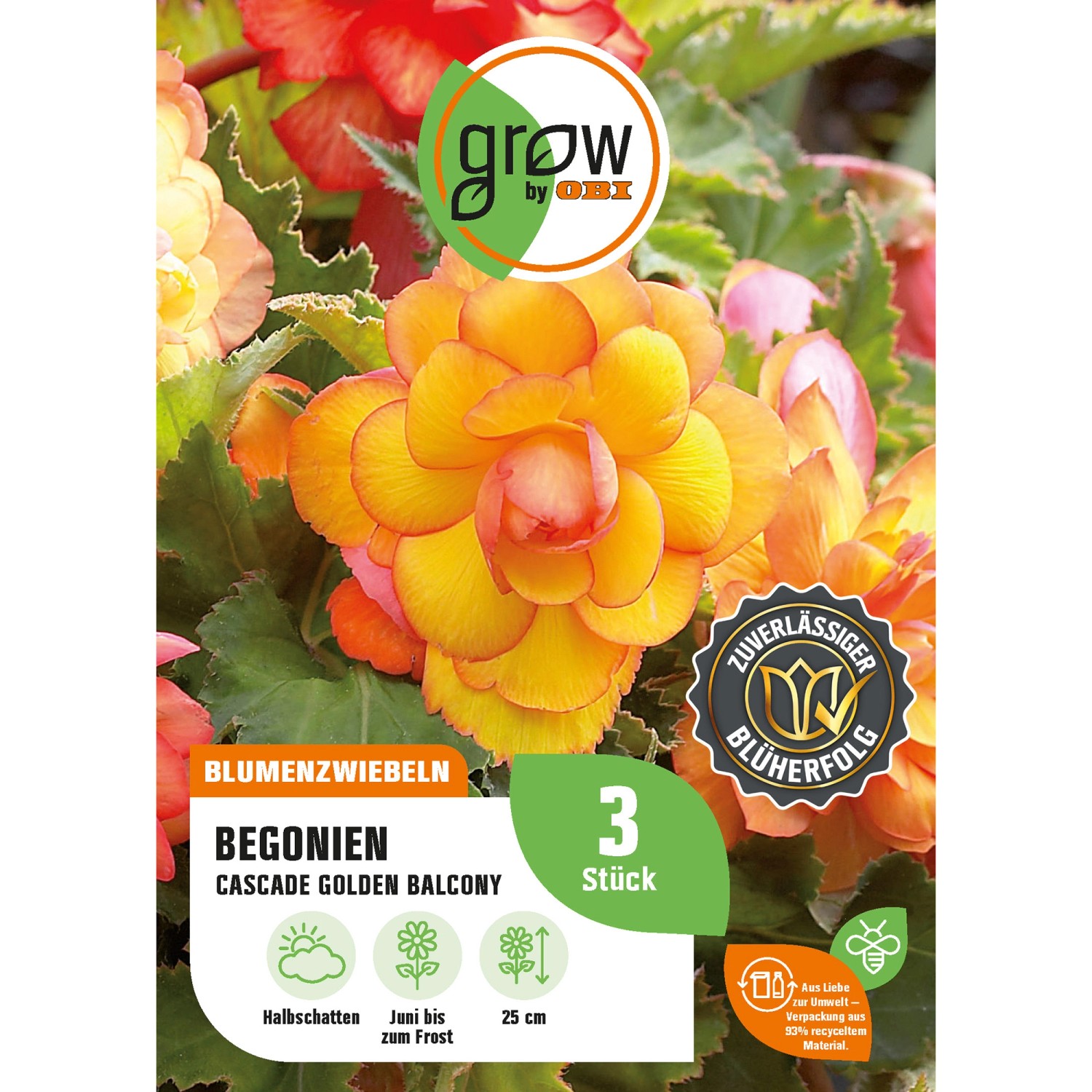 GROW by OBI Begonie Cascade Golden Balcony Höhe ca. 25 cm Begonia cascade günstig online kaufen