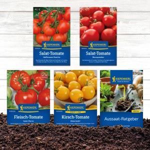 Gemüsesamen-Set Tomaten-Vielfalt mit Salat-, Fleisch-, Kirsch- und Cherrytomaten sowie Aussaatanleitung.