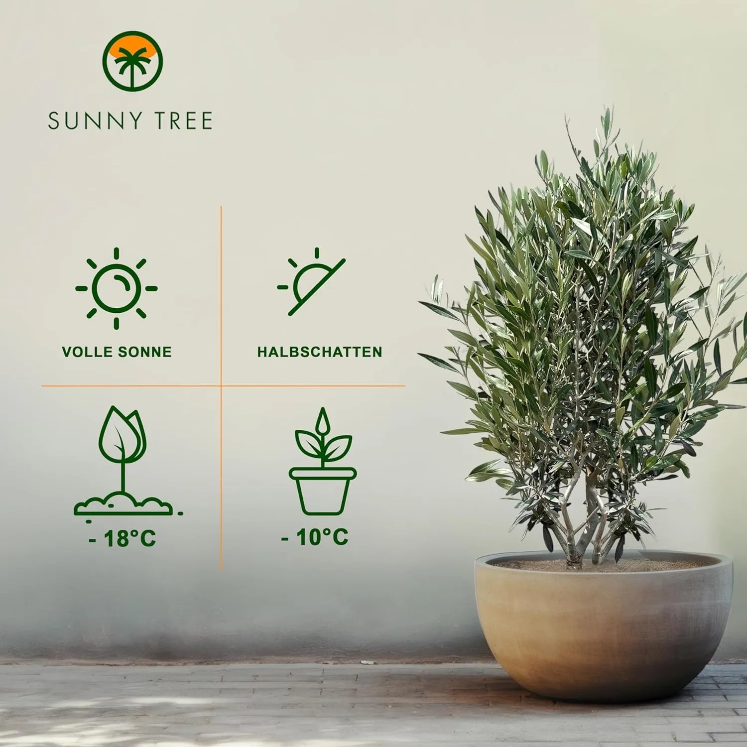 thuja mit tropfschlauch bewässern BJ Tropfschlauch Set für Beete, Hecken & Baumreihen – BJ Aqua main image 1