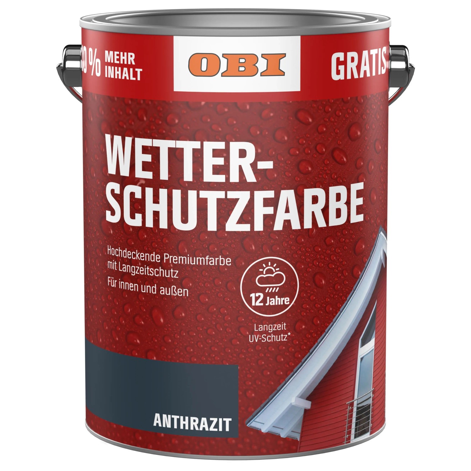 OBI Wetterschutzfarbe 3 l Anthrazit