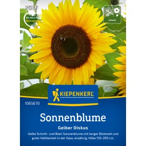 Kiepenkerl Sonnenblume Gelber Diskus: Leuchtend gelbe Sonnenblume mit dunkler Mitte, ideal als Schnittblume.