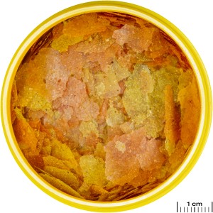Jbl Pronovo Color Flakes M Fischfutter: Farbfördernde Flocken in gelber Dose.