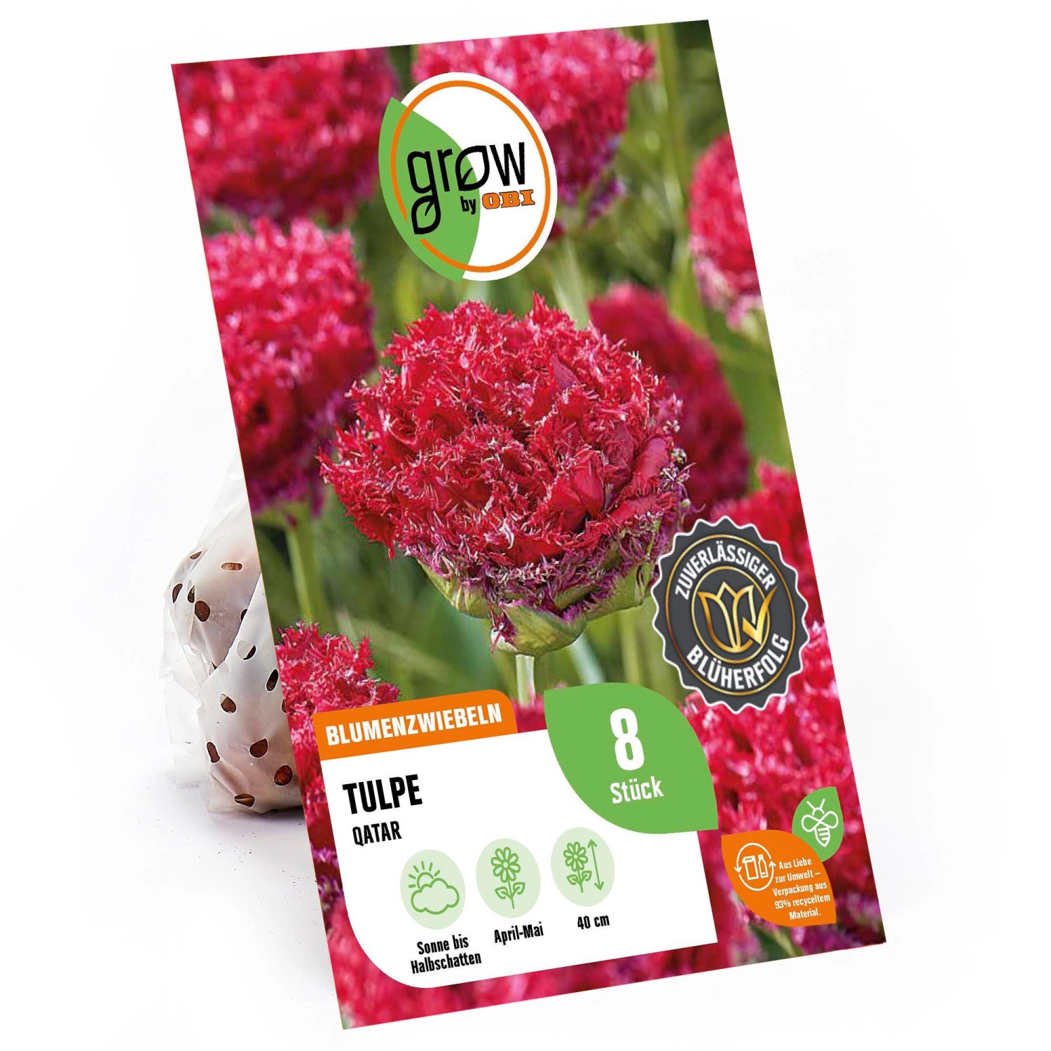 GROW by OBI Tulpe Versaci Rot 8 Stück Tulipa fringed Versaci günstig online kaufen