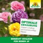 Rosen in verschiedenen Farben mit Neudorff BioKraft Vitalkur für Rosen AF.