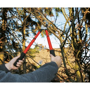 LUX Astschere Amboss, teleskopierbar, im Einsatz beim Schneiden von Ästen.