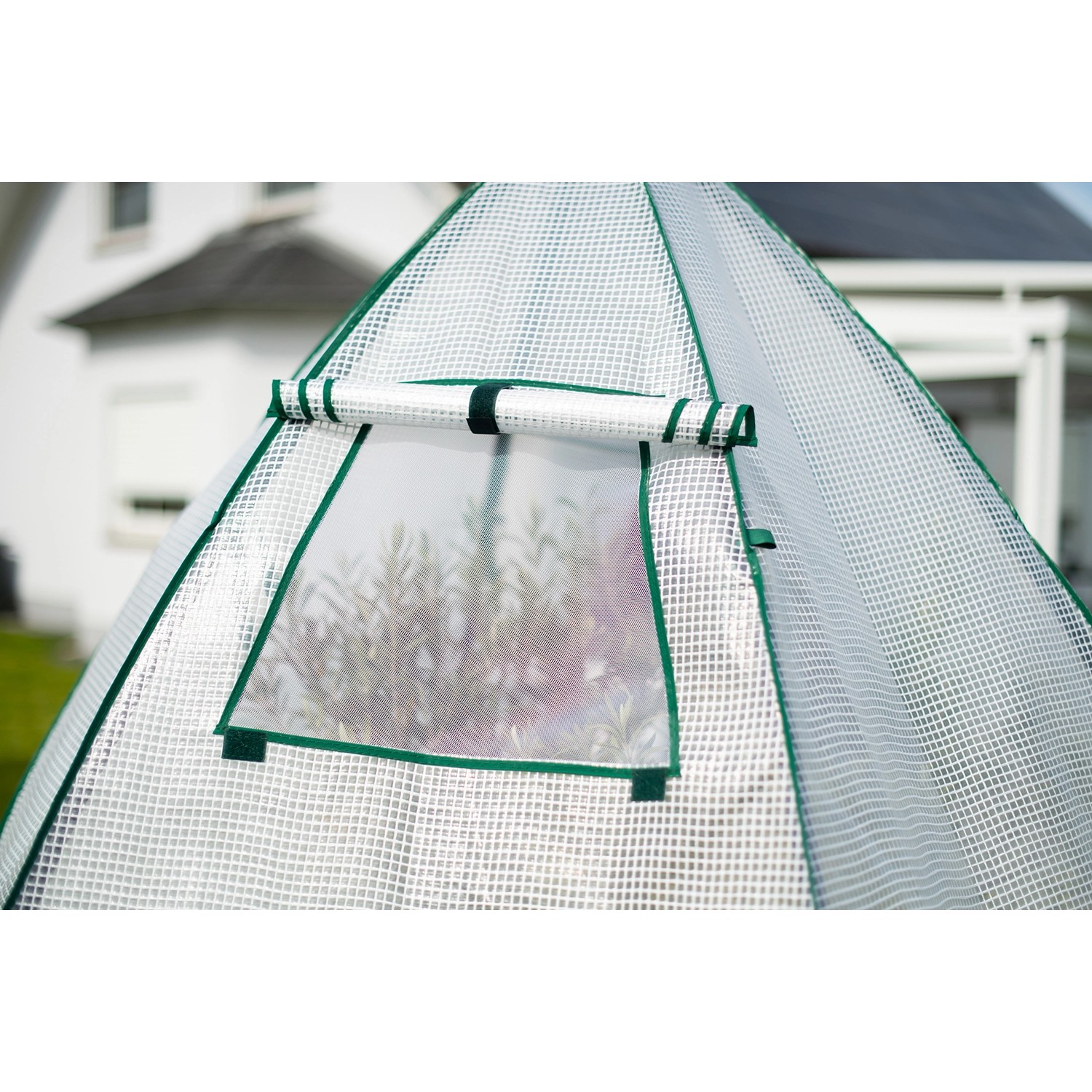 Westmann Überwinterungszelt Minze: Foliengewächshaus mit Fenster und grüner Umrandung.