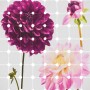 Komar Vlies Fototapete Flowers & Dots, 200x250cm, mit floralem Muster in Pink und Lila.
