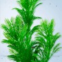 Tetra DecoArt Plant S Green Cabomba Kunstpflanze für Aquarien, naturgetreue Wasserpflanzen Nachbildung.