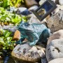 Heissner Frosch Solar Teichfigur Set mit Pumpe auf Steinen im Gartenteich.