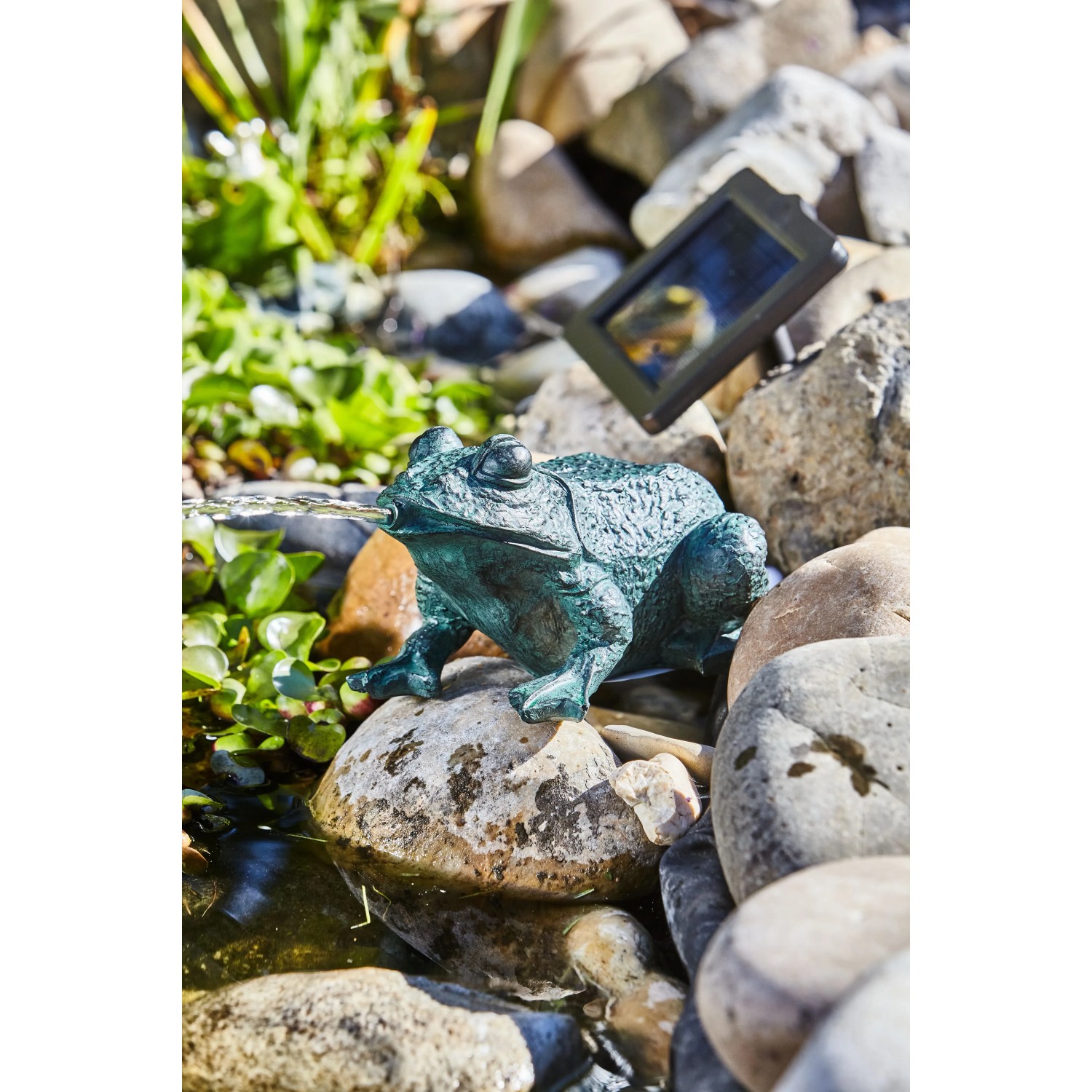 Heissner Frosch Solar Teichfigur Set mit Pumpe auf Steinen im Gartenteich.