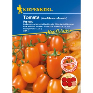 Kiepenkerl Profi-Line Tomaten Nugget Samen: Mini-Pflaumentomaten auf der Pflanze.