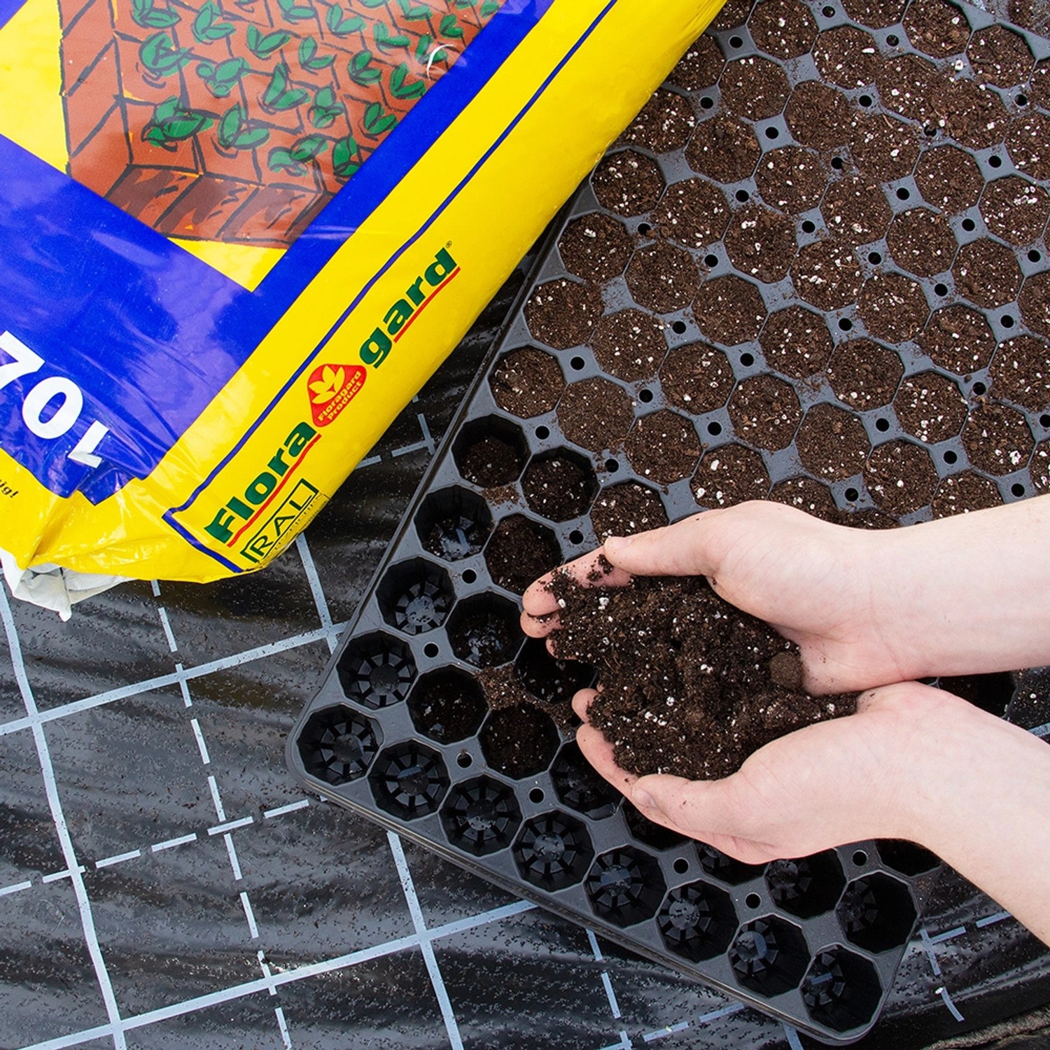 Floragard Grow Mix 1 Anzucht und Aussaaterde mit Perlite 70 l kaufen
