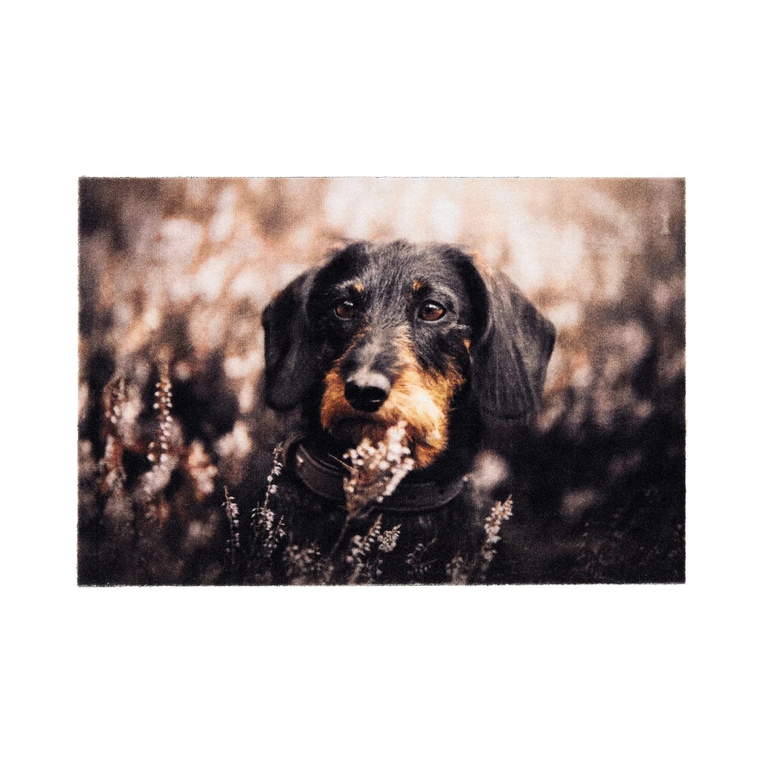 Astra Türmatte Deco Print 40 cm x 60 cm Braun