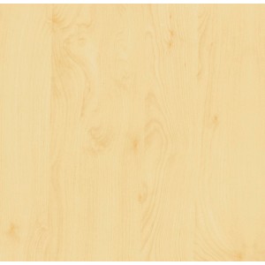 d-c-fix Klebefolie Birke, 45x200cm, helle Holzoptik für Möbel und Deko.