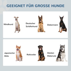 Verschiedene große Hunderassen: Schäferhund, Dobermann, Akita, Rottweiler, Windhund, Malamute. Passend für erhöhte Hundenäpfe.