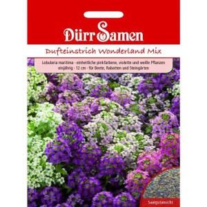 Dürr Samen Duftsteinrich Wonderland Mix Einjährig Saatgut