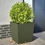 Quadratischer, olivgrüner Stahl-Pflanzkübel 50x50x50 cm mit grüner Pflanze vor Hauswand. Ideal für Garten, Balkon.