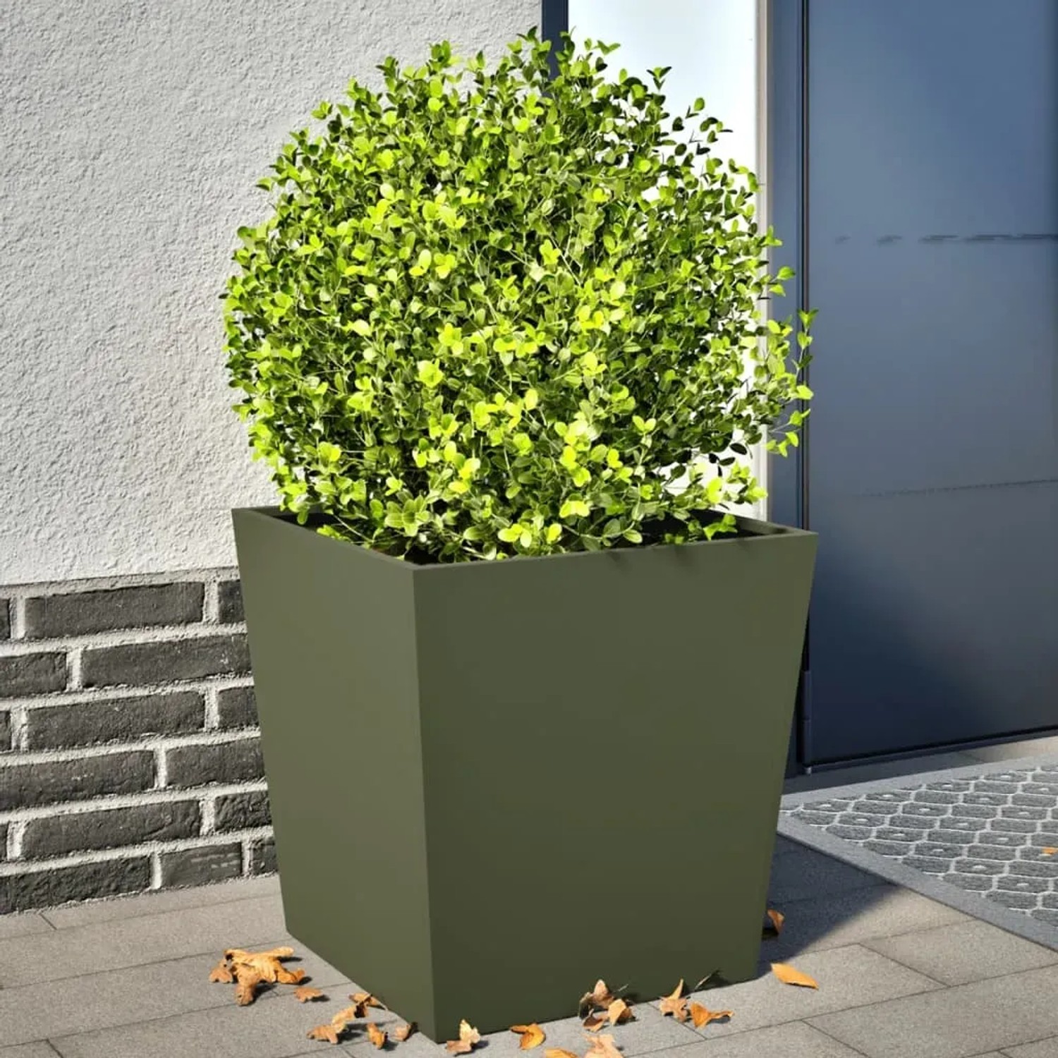 Quadratischer, olivgrüner Stahl-Pflanzkübel 50x50x50 cm mit grüner Pflanze vor Hauswand. Ideal für Garten, Balkon.