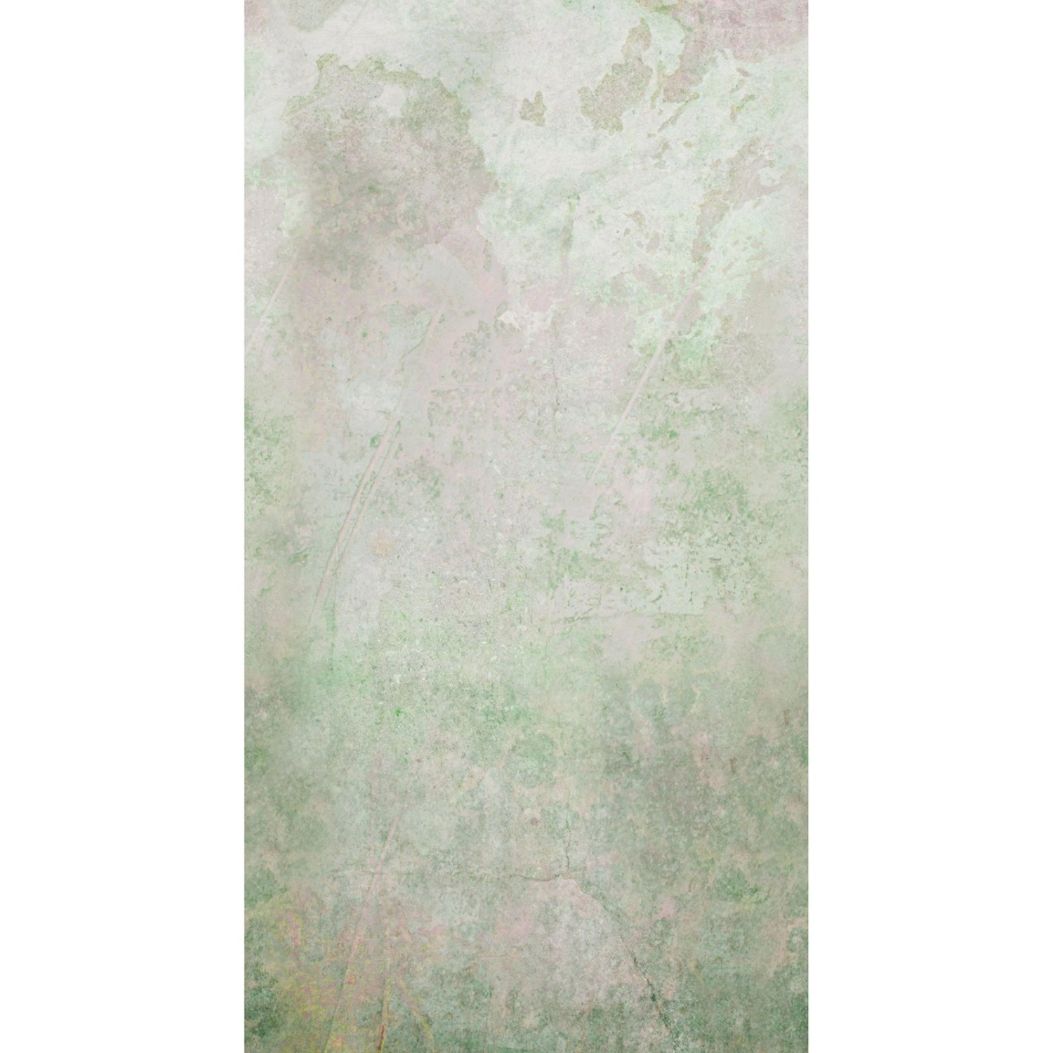 Art for the Home Fototapete Pure nature faded 280 x 150 cm