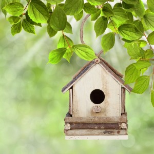 Relaxdays Vogelhaus Holz Natur Zum Aufhängen