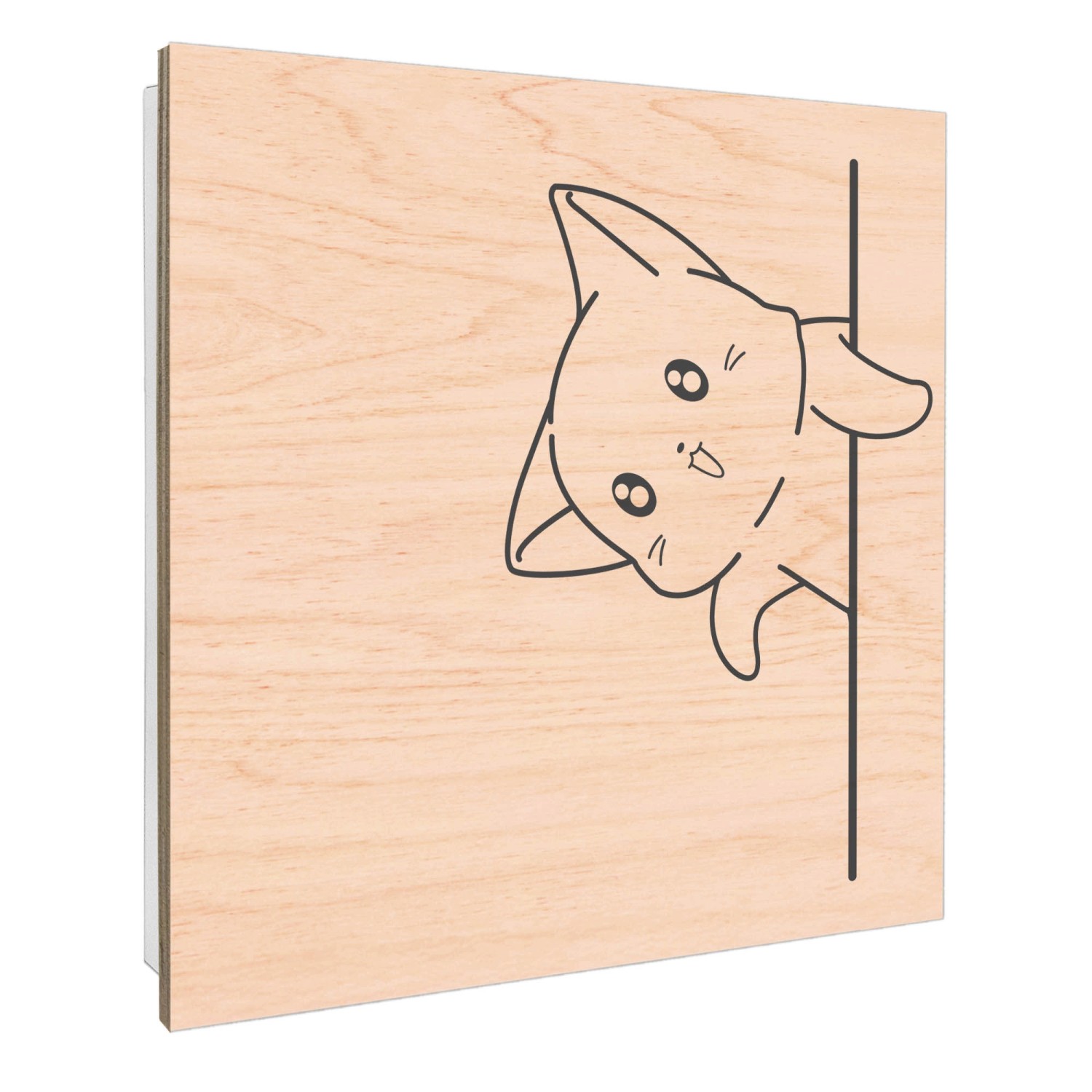 Weißer Schlüsselkasten aus Holz (30x30cm) mit Katzenmotiv und 50 Haken, Scharnier rechts.