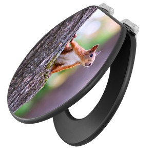 Anthrazit WC-Sitz mit Absenkautomatik und Eichhörnchen Motiv für ein stilvolles Bad.